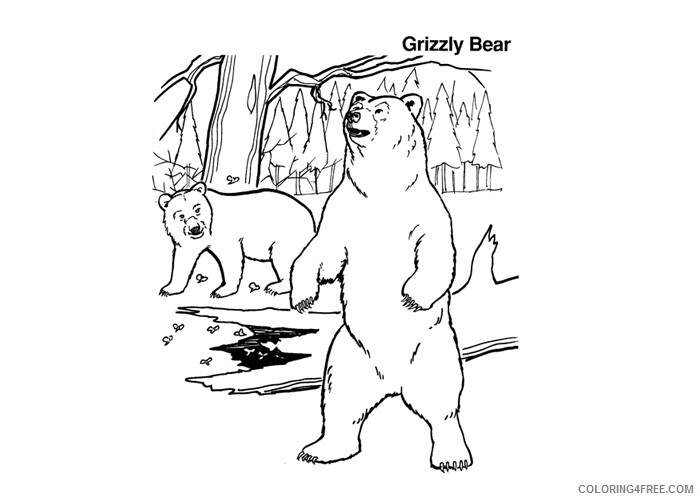Bear Coloring Pages Animal Printable Sheets Grizzly bears 2021 0294 Coloring4free