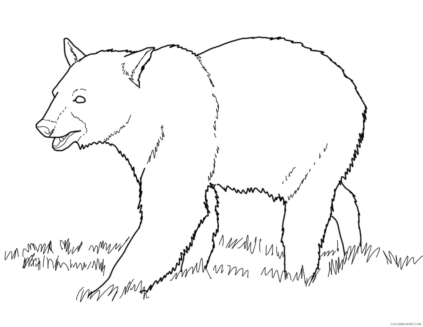 Bear Coloring Pages Animal Printable Sheets Panda Bear 2021 0306 Coloring4free