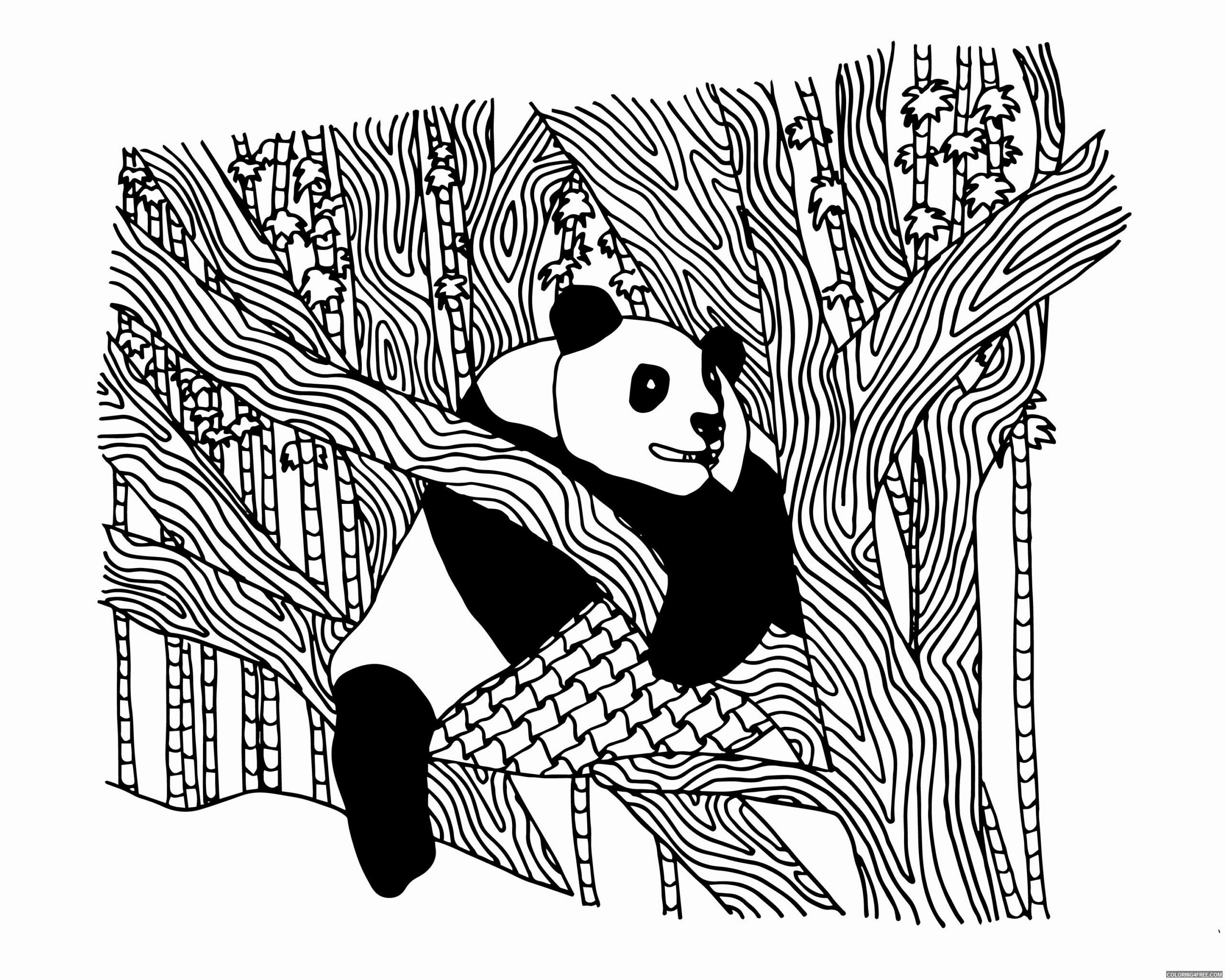 Bear Coloring Pages Animal Printable Sheets Panda Bear in Tree 2021 0308 Coloring4free