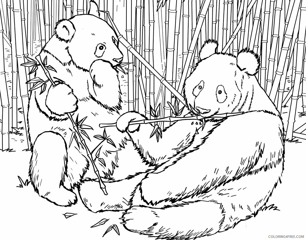 Bear Coloring Pages Animal Printable Sheets Panda Bears 2021 0309 Coloring4free