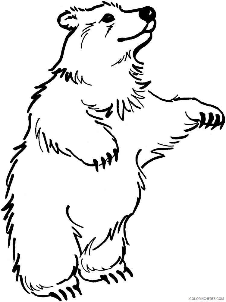 Bear Coloring Pages Animal Printable Sheets animals bear 16 2021 0281 Coloring4free