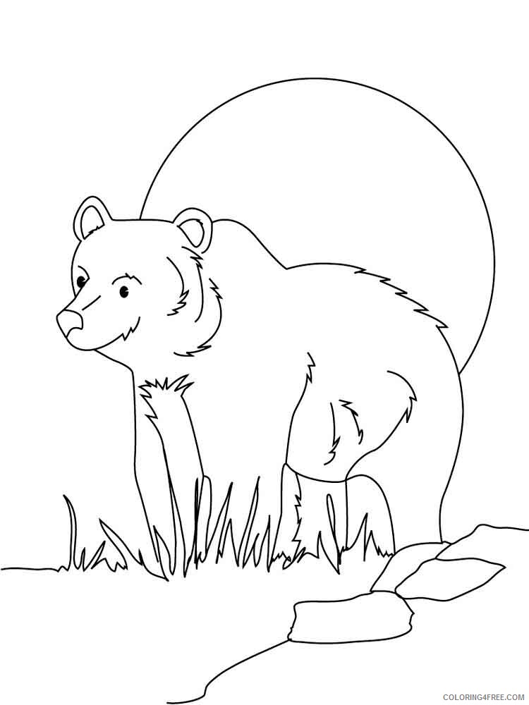 Bear Coloring Pages Animal Printable Sheets animals bear 9 2021 0287 Coloring4free
