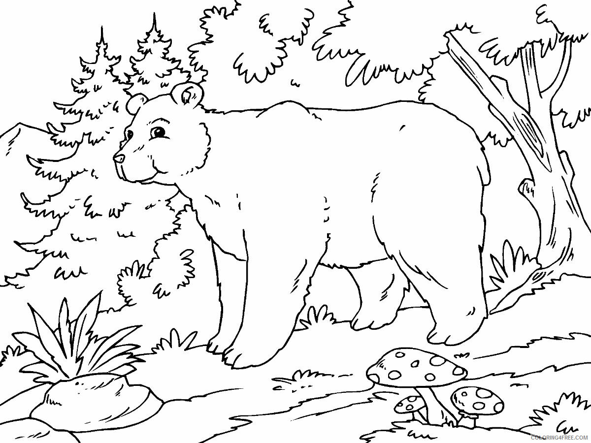 Bear Coloring Pages Animal Printable Sheets bear 2021 0237 Coloring4free