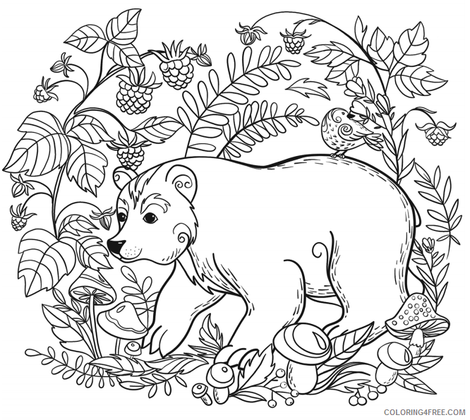 Bear Coloring Pages Animal Printable Sheets bear 2021 0242 Coloring4free