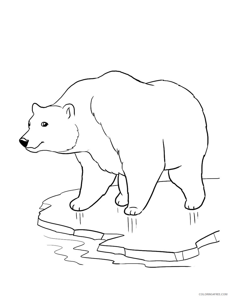 Bear Coloring Pages Animal Printable Sheets bear_cl_08 2021 0255 Coloring4free