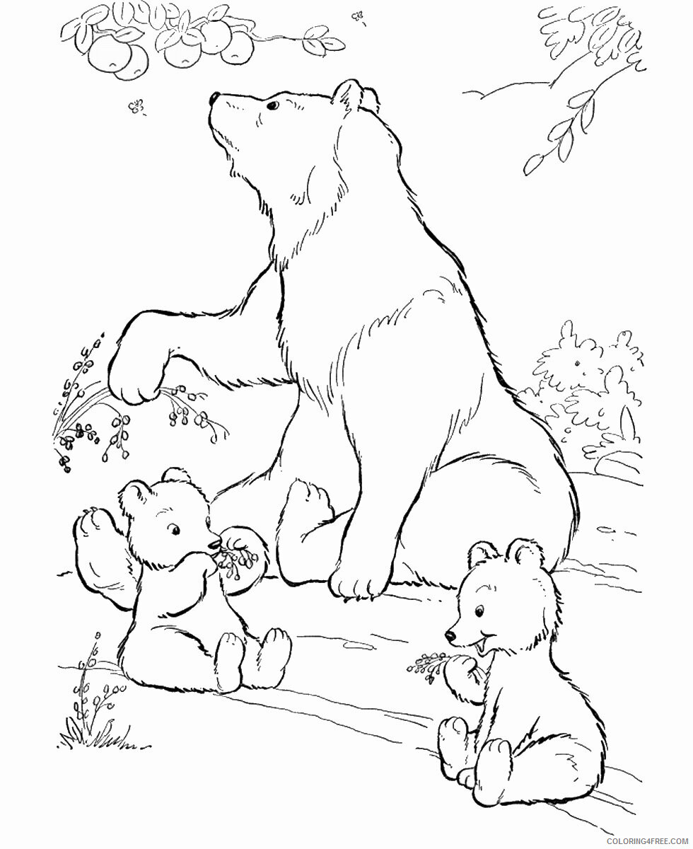 Bear Coloring Pages Animal Printable Sheets bear_cl_10 2021 0257 Coloring4free