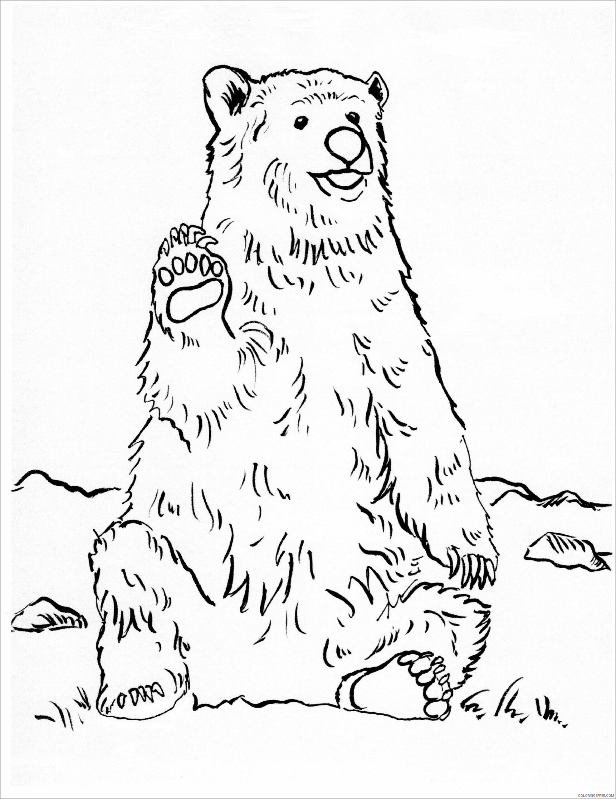 Bear Coloring Pages Animal Printable Sheets grizzly bear 2021 0293 Coloring4free