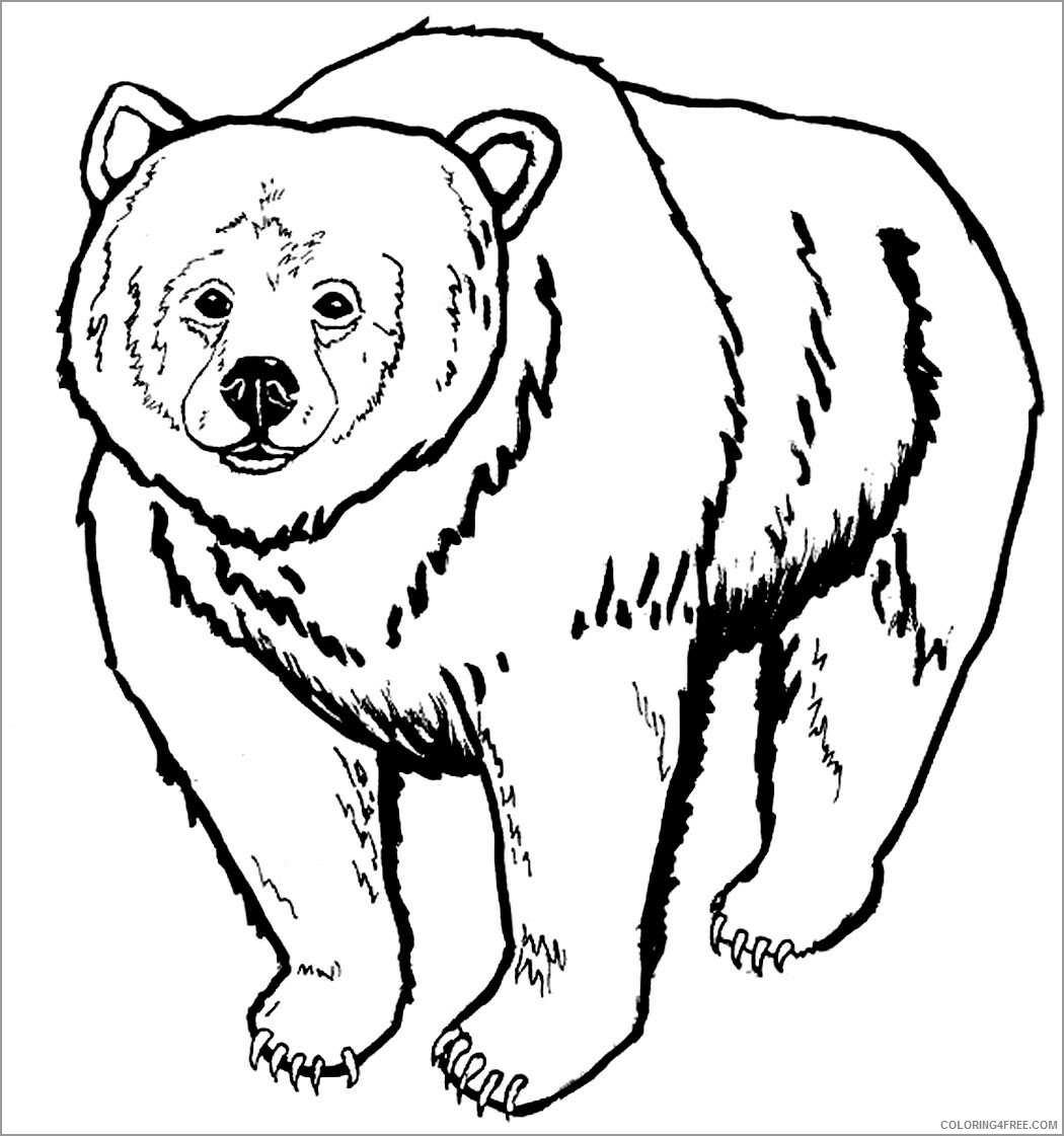 Bear Coloring Pages Animal Printable Sheets printable bear 2021 0310 Coloring4free