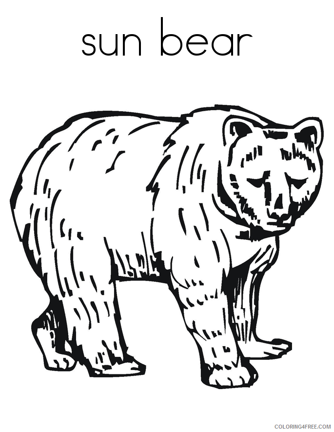Bear Coloring Sheets Animal Coloring Pages Printable 2021 0213 Coloring4free