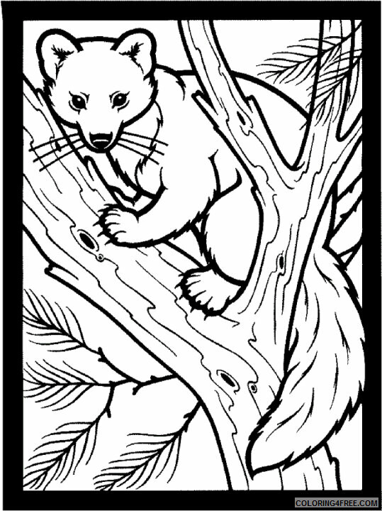 Bear Coloring Sheets Animal Coloring Pages Printable 2021 0220 Coloring4free