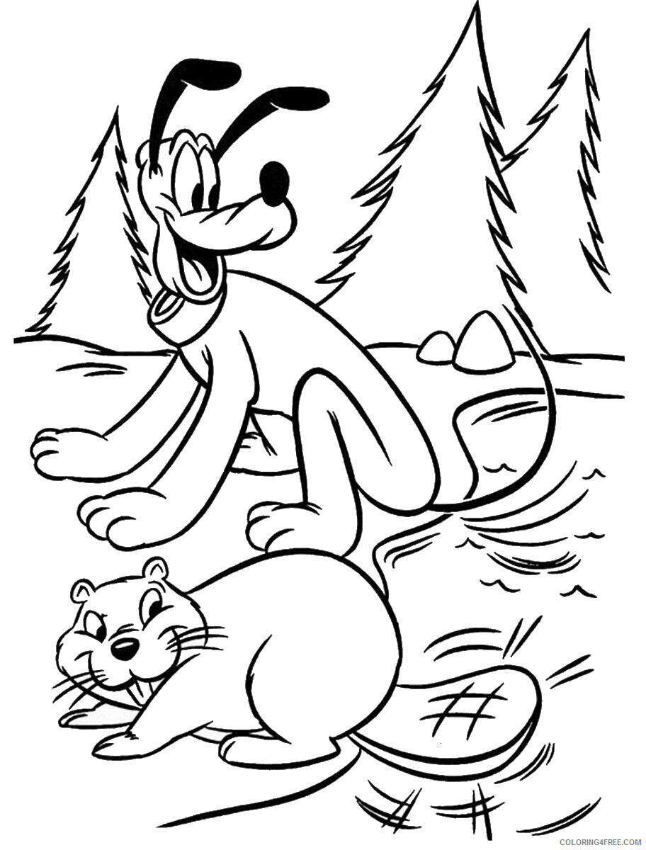 Beaver Coloring Pages Animal Printable Sheets beaver_coloring_15 2021 0335 Coloring4free