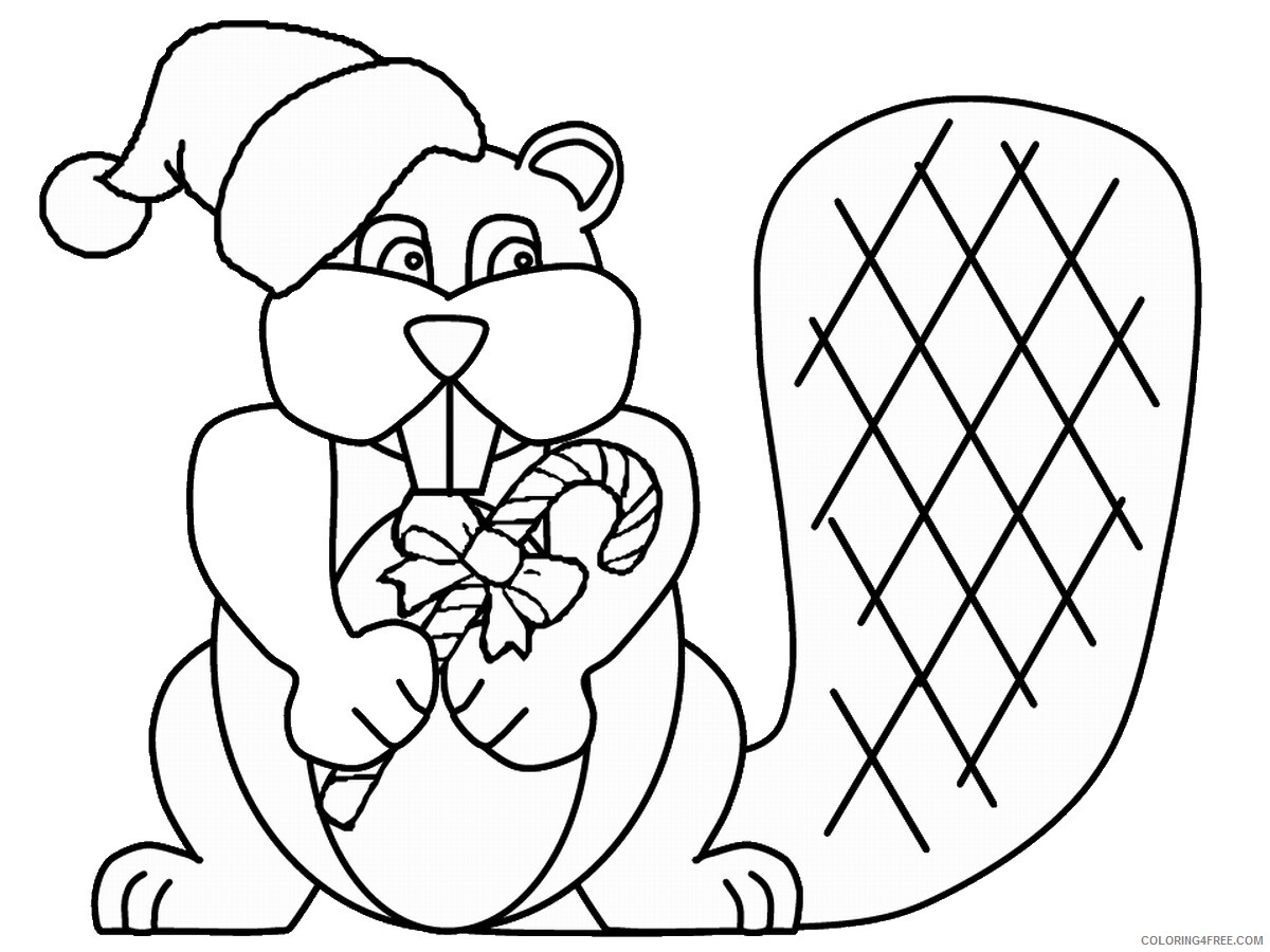 Beaver Coloring Pages Animal Printable Sheets beaver_coloring_2 2021 0336 Coloring4free