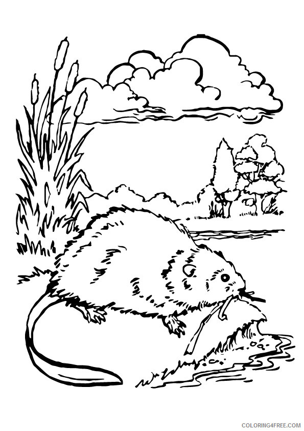 Beaver Coloring Sheets Animal Coloring Pages Printable 2021 0264 Coloring4free