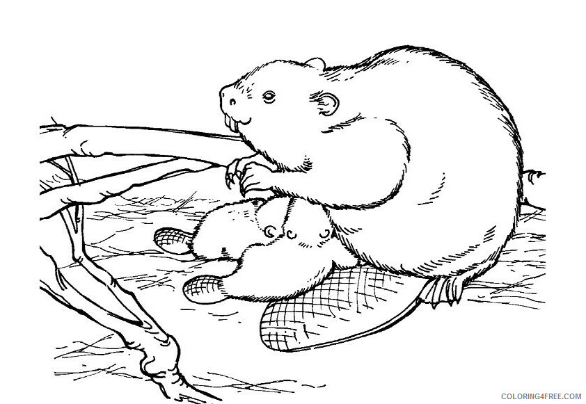 Beaver Coloring Sheets Animal Coloring Pages Printable 2021 0266 Coloring4free