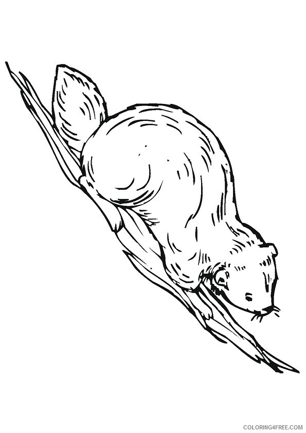 Beaver Coloring Sheets Animal Coloring Pages Printable 2021 0268 Coloring4free