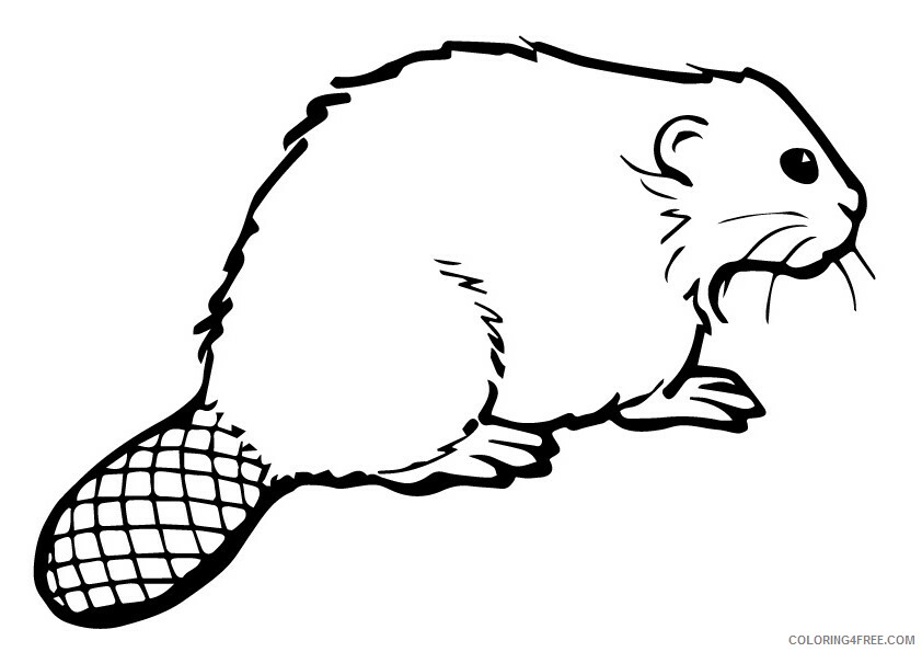 Beaver Coloring Sheets Animal Coloring Pages Printable 2021 0271 Coloring4free