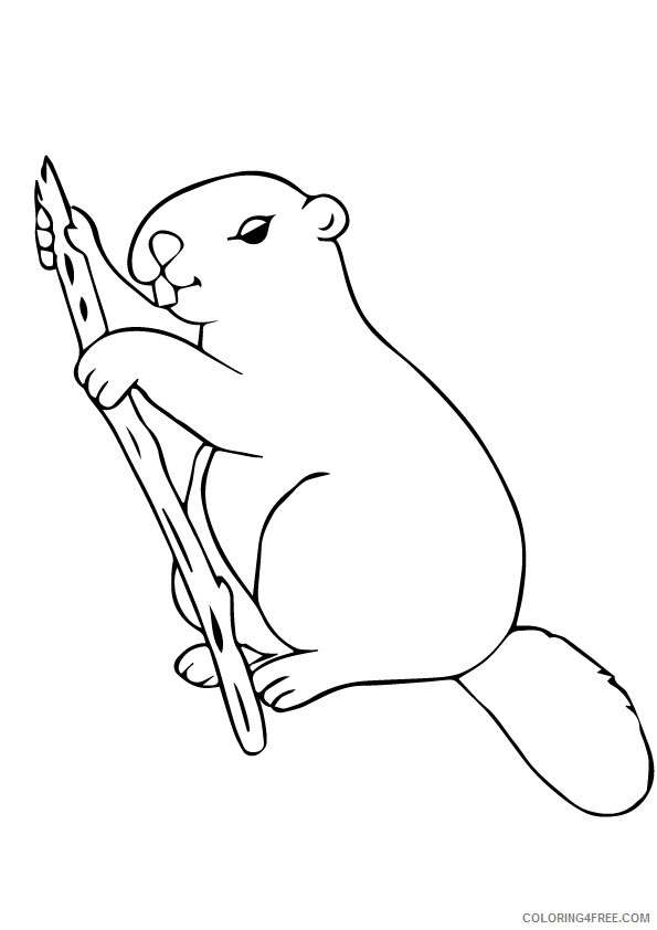 Beaver Coloring Sheets Animal Coloring Pages Printable 2021 0279 Coloring4free