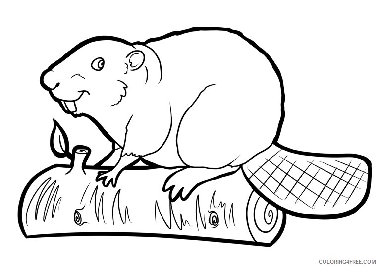 Beaver Coloring Sheets Animal Coloring Pages Printable 2021 0280 Coloring4free