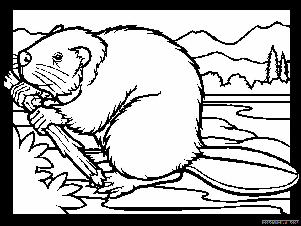 Beaver Coloring Sheets Animal Coloring Pages Printable 2021 0286 Coloring4free