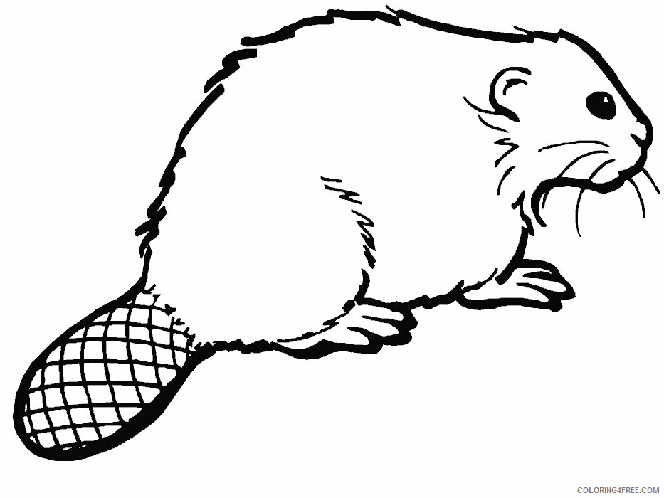 Beaver Coloring Sheets Animal Coloring Pages Printable 2021 0287 Coloring4free