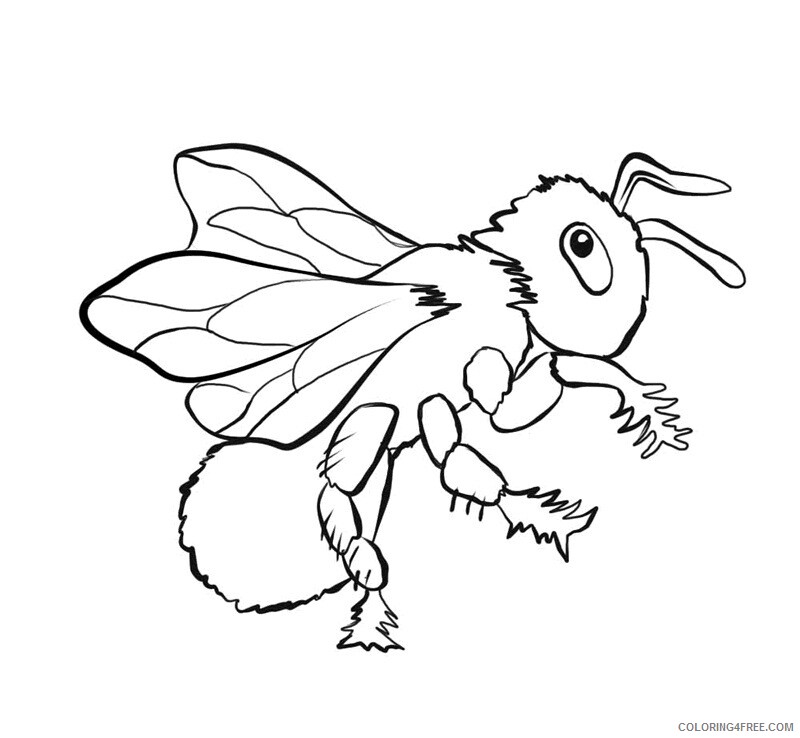 Bee Coloring Pages Animal Printable Sheets Bee 2 2021 0376 Coloring4free