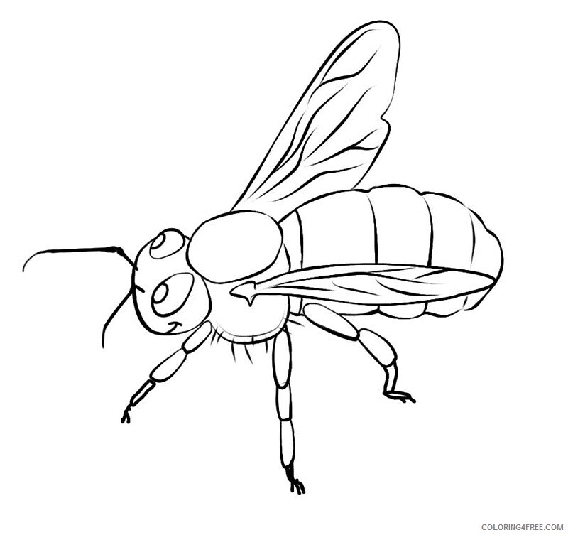 Bee Coloring Pages Animal Printable Sheets Bee 2 2021 0384 Coloring4free