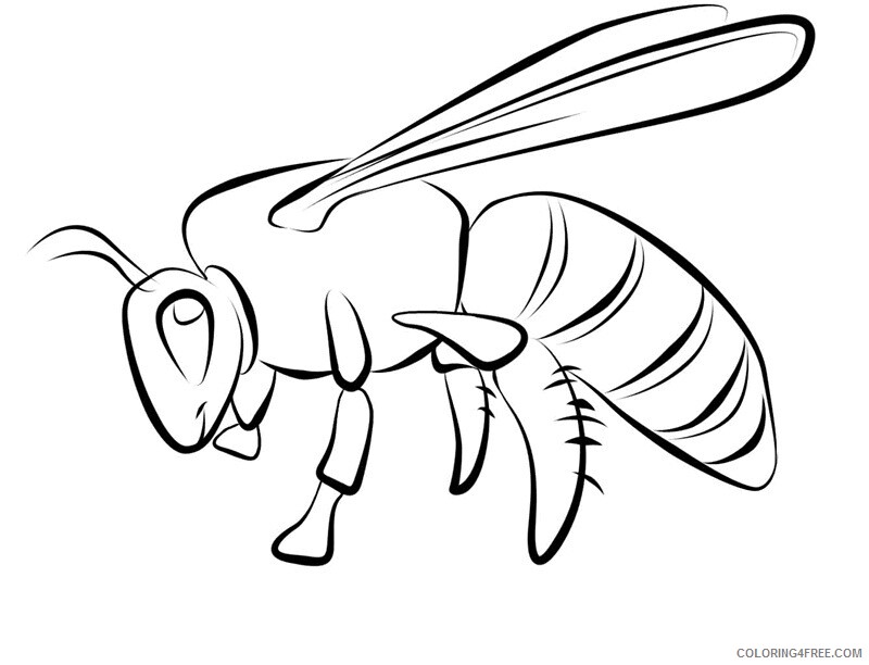 Bee Coloring Pages Animal Printable Sheets Bee 3 2021 0378 Coloring4free