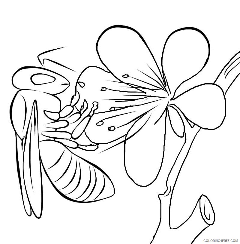 Bee Coloring Pages Animal Printable Sheets Bee For Kids 2 2021 0380 Coloring4free