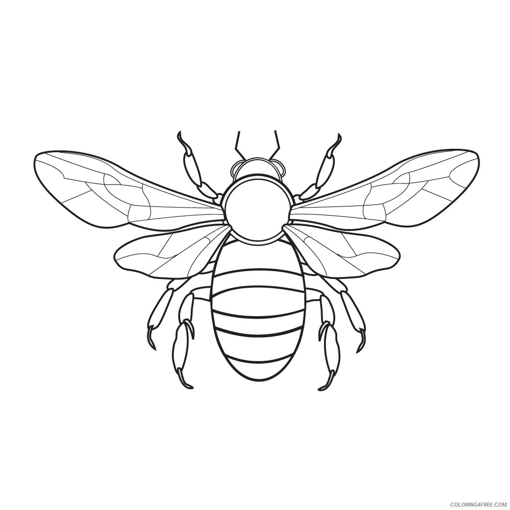 Bee Coloring Pages Animal Printable Sheets Bee Sheets 2021 0388 Coloring4free