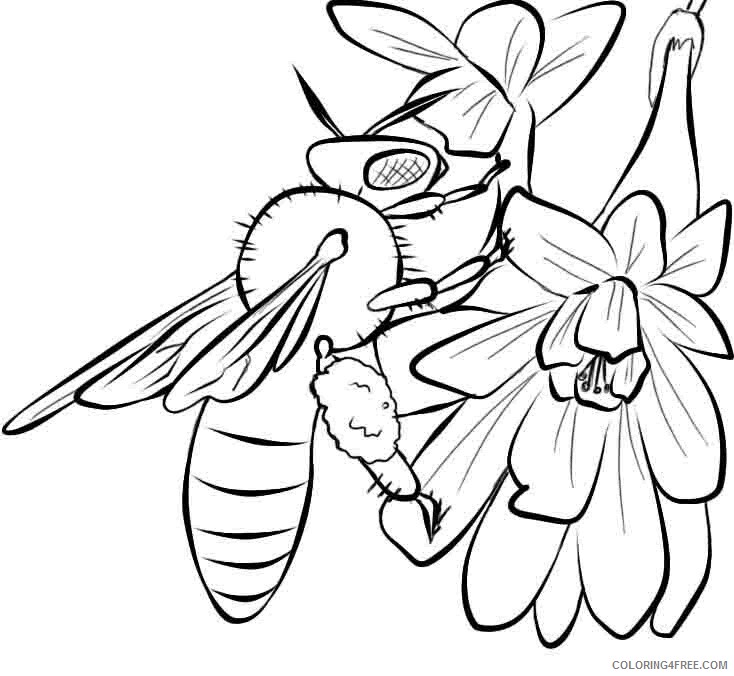 Bee Coloring Pages Animal Printable Sheets Bee To Print 2 2021 0386 Coloring4free