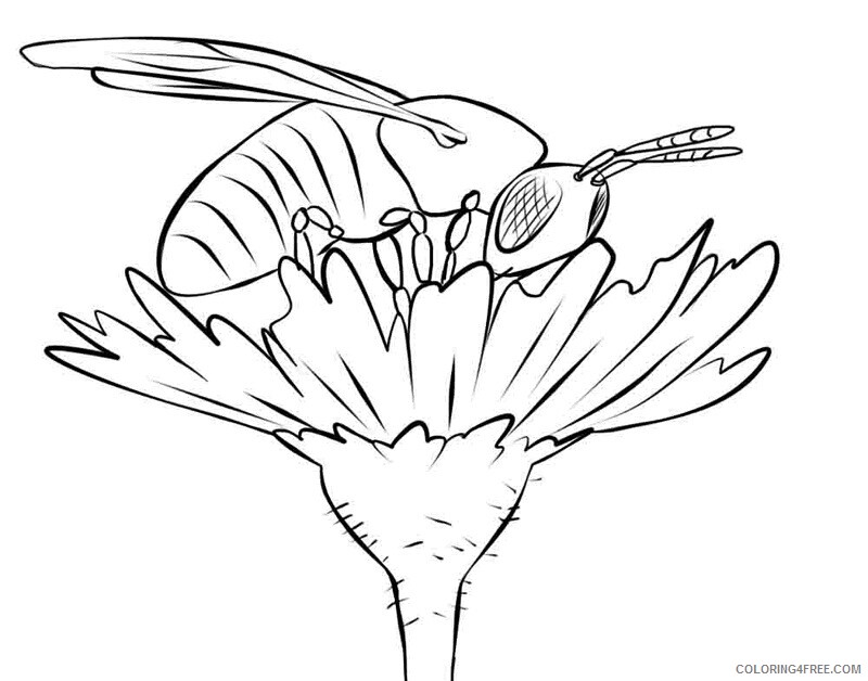 Bee Coloring Pages Animal Printable Sheets Free Bee 2021 0407 Coloring4free