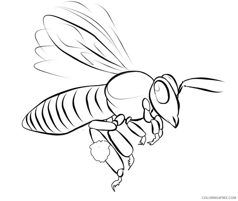 Bee Coloring Pages Animal Printable Sheets Free Bee 2021 0410 Coloring4free