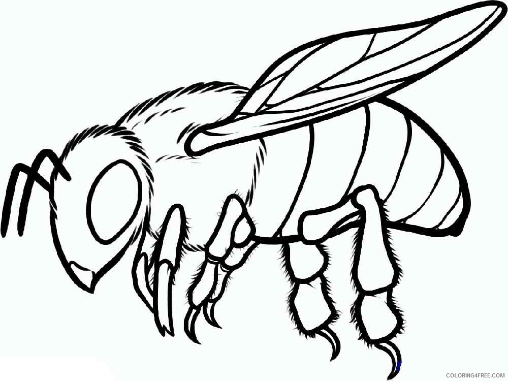 Bee Coloring Pages Animal Printable Sheets animals bee 6 2021 0402 Coloring4free