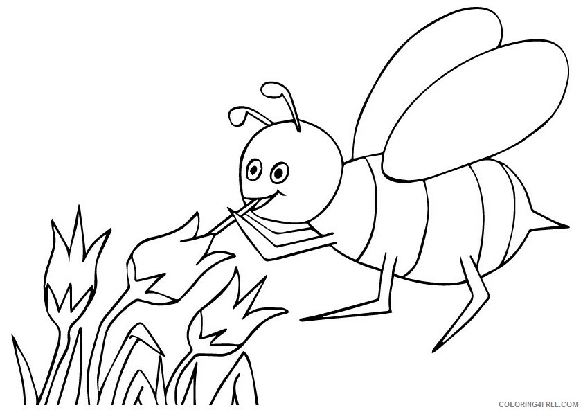 Bee Coloring Pages Animal Printable Sheets bee sucking honey a4 2021 0358 Coloring4free
