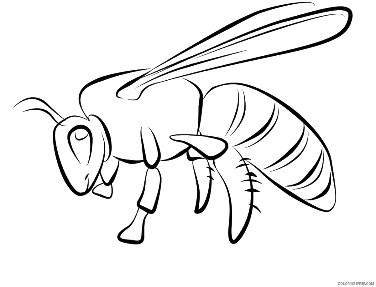 Bee Coloring Pages Animal Printable Sheets bee_cl_01 2021 0363 Coloring4free