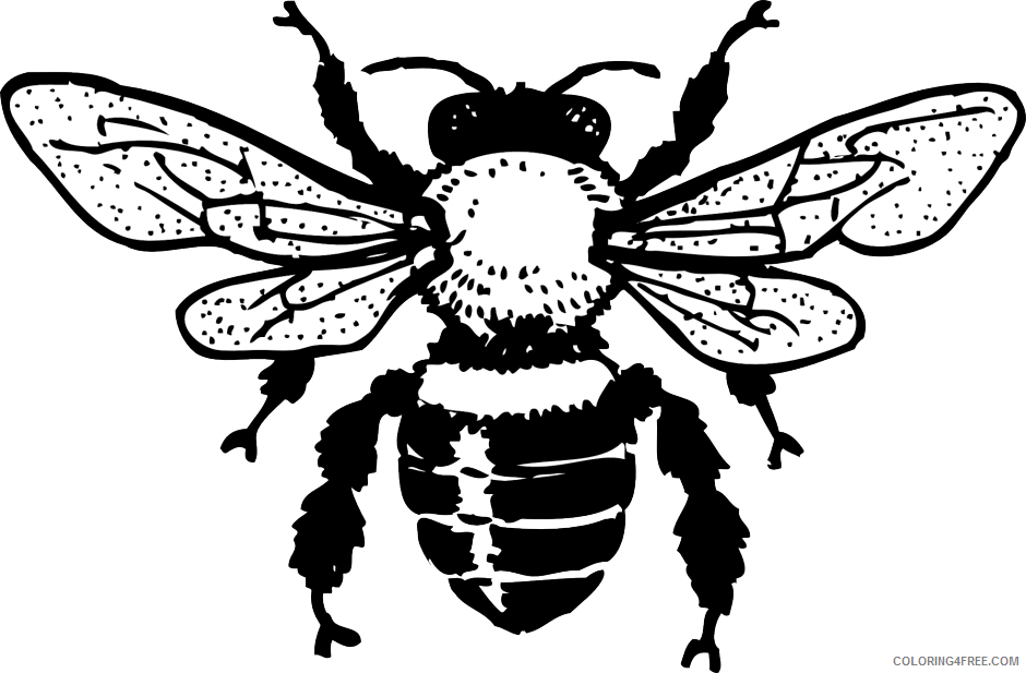 Bee Coloring Sheets Animal Coloring Pages Printable 2021 0289 Coloring4free