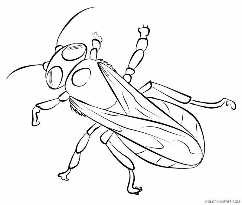 Bee Coloring Sheets Animal Coloring Pages Printable 2021 0347 Coloring4free