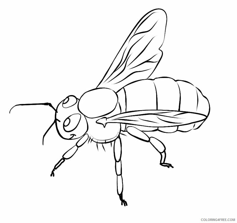 Bee Coloring Sheets Animal Coloring Pages Printable 2021 0349 Coloring4free
