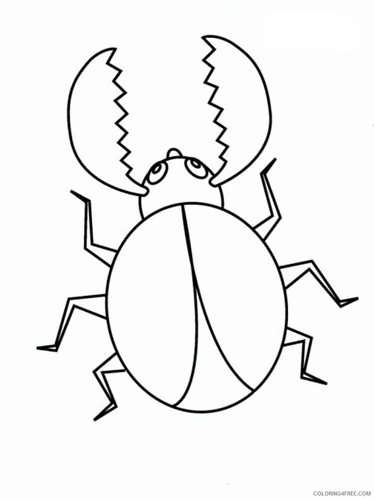 Beetles Coloring Pages Animal Printable Sheets Beetles 16 2021 0424 Coloring4free