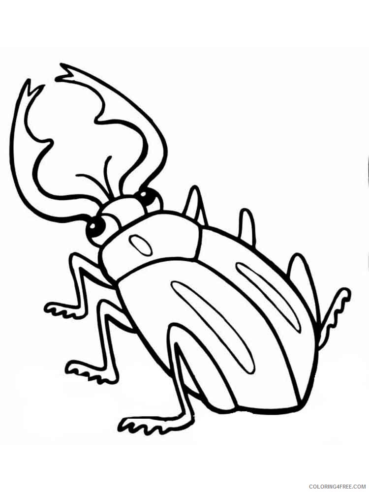 Beetles Coloring Pages Animal Printable Sheets Beetles 21 2021 0425 Coloring4free