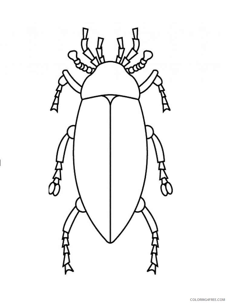 Beetles Coloring Pages Animal Printable Sheets Beetles 8 2021 0427 Coloring4free