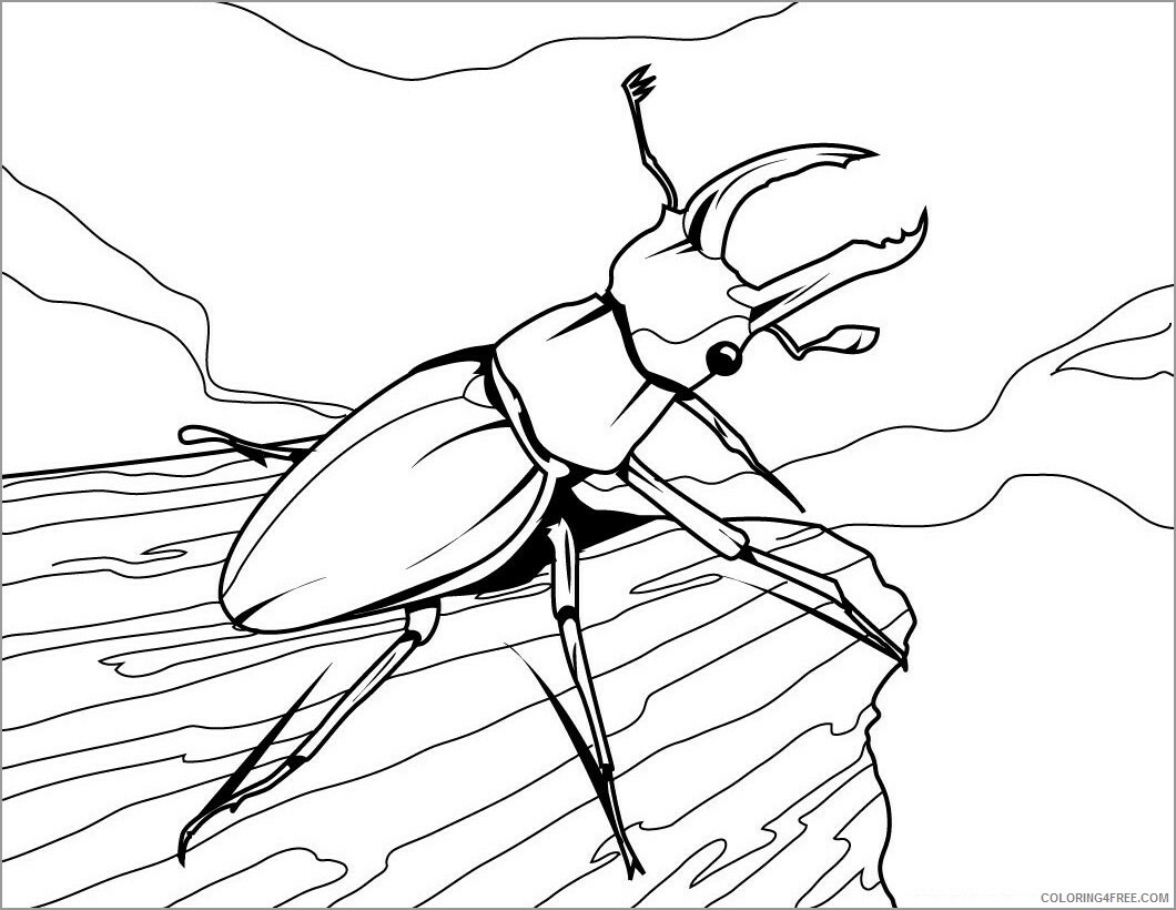 Beetles Coloring Pages Animal Printable Sheets vw beetlering insects 2021 0430 Coloring4free