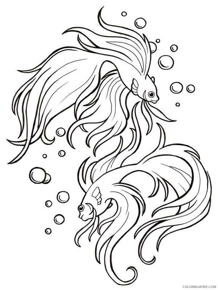 Betta Fish Coloring Pages Animal Printable Sheets Betta fish 1 2021 0432 Coloring4free