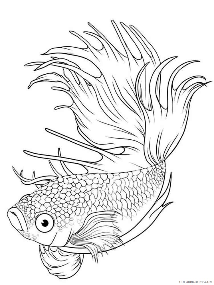 Betta Fish Coloring Pages Animal Printable Sheets Betta fish 2 2021 0433 Coloring4free