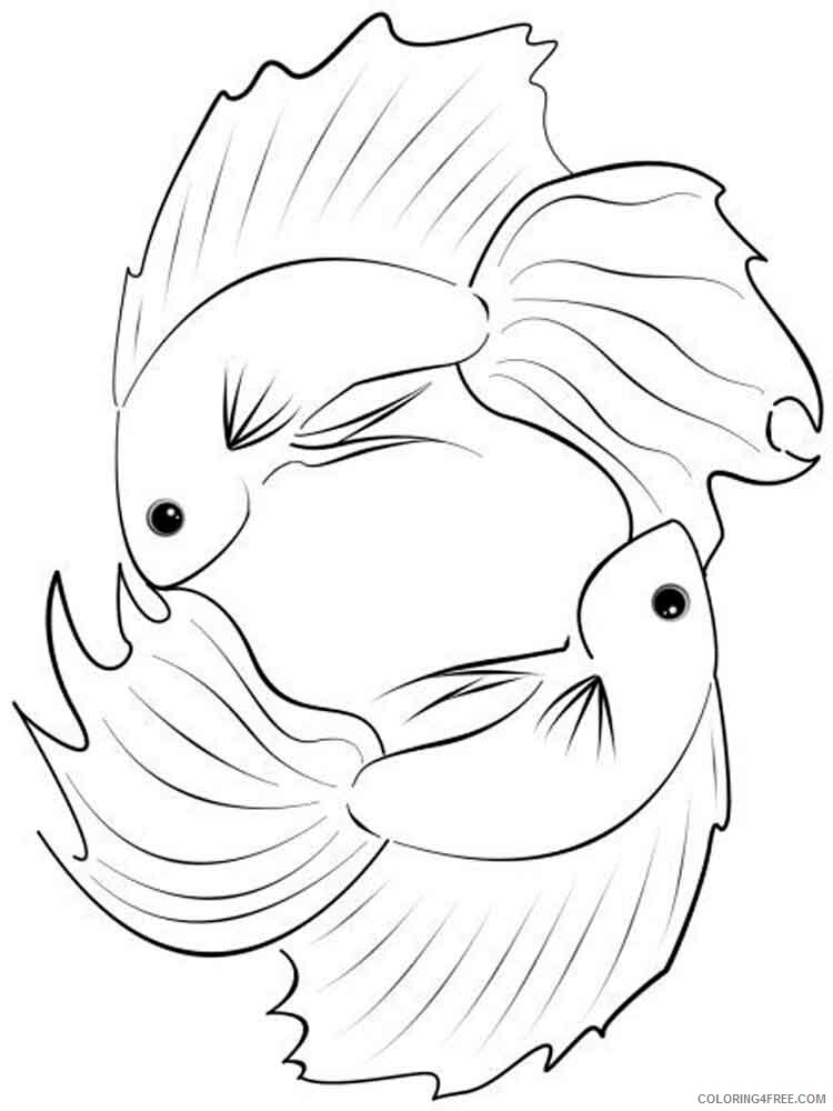 Betta Fish Coloring Pages Animal Printable Sheets Betta fish 3 2021 0434 Coloring4free