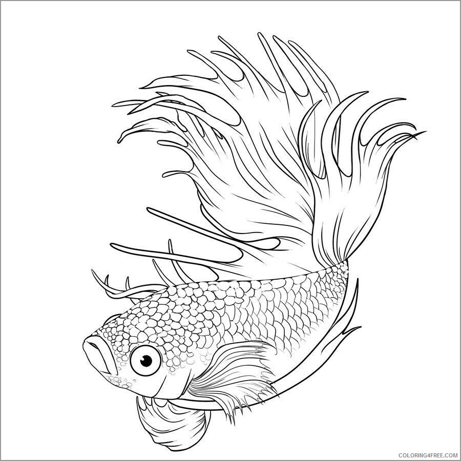 Betta Fish Coloring Pages Animal Printable Sheets printable betta fish 2021 0438 Coloring4free