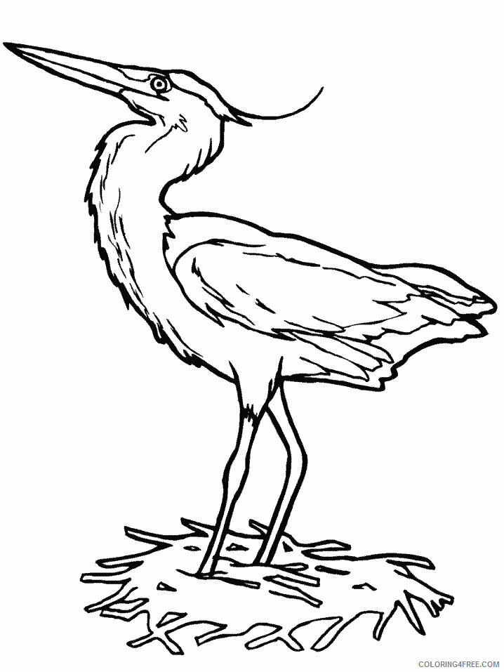 Bird Coloring Sheets Animal Coloring Pages Printable 2021 0356 Coloring4free