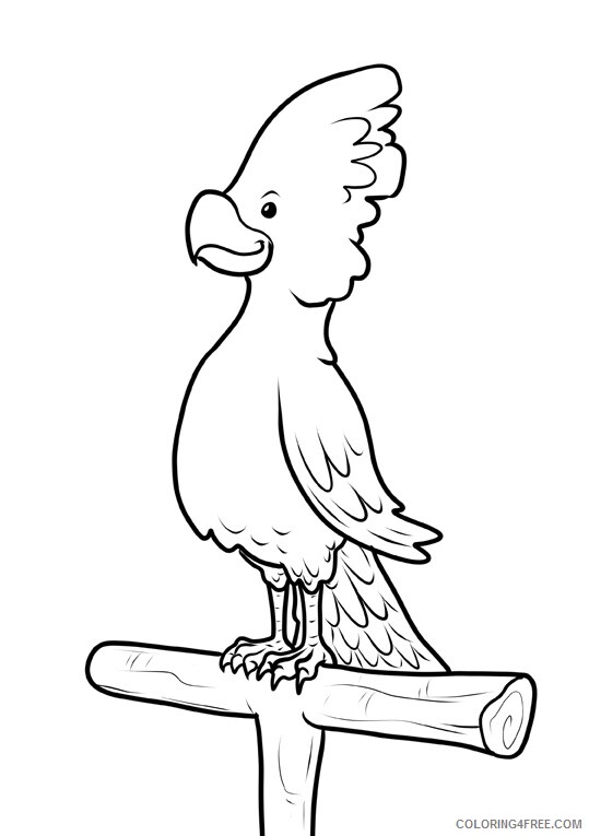 Bird Coloring Sheets Animal Coloring Pages Printable 2021 0362 Coloring4free