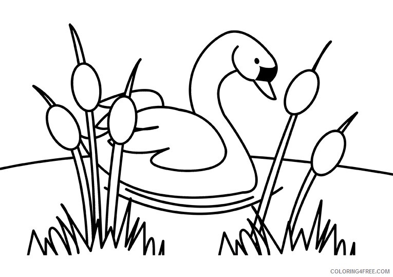 Bird Coloring Sheets Animal Coloring Pages Printable 2021 0371 Coloring4free