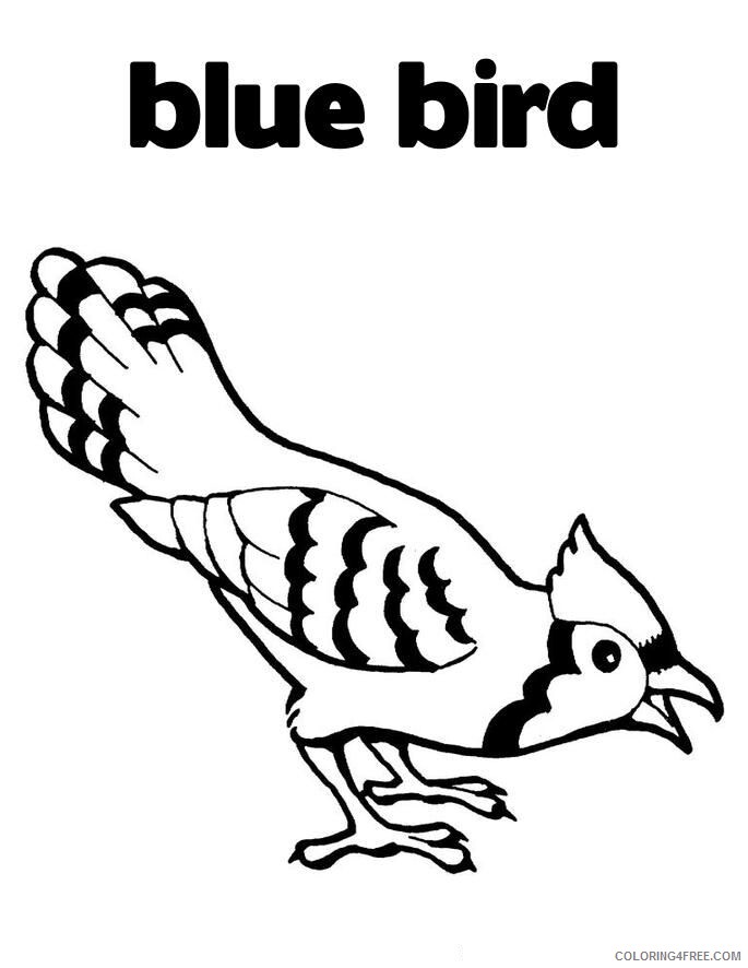 Bird Coloring Sheets Animal Coloring Pages Printable 2021 0386 Coloring4free